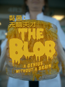 黏菌:无脑天才