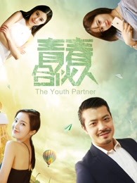 青春合伙人(2017)