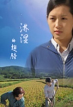 淋湿的翅膀