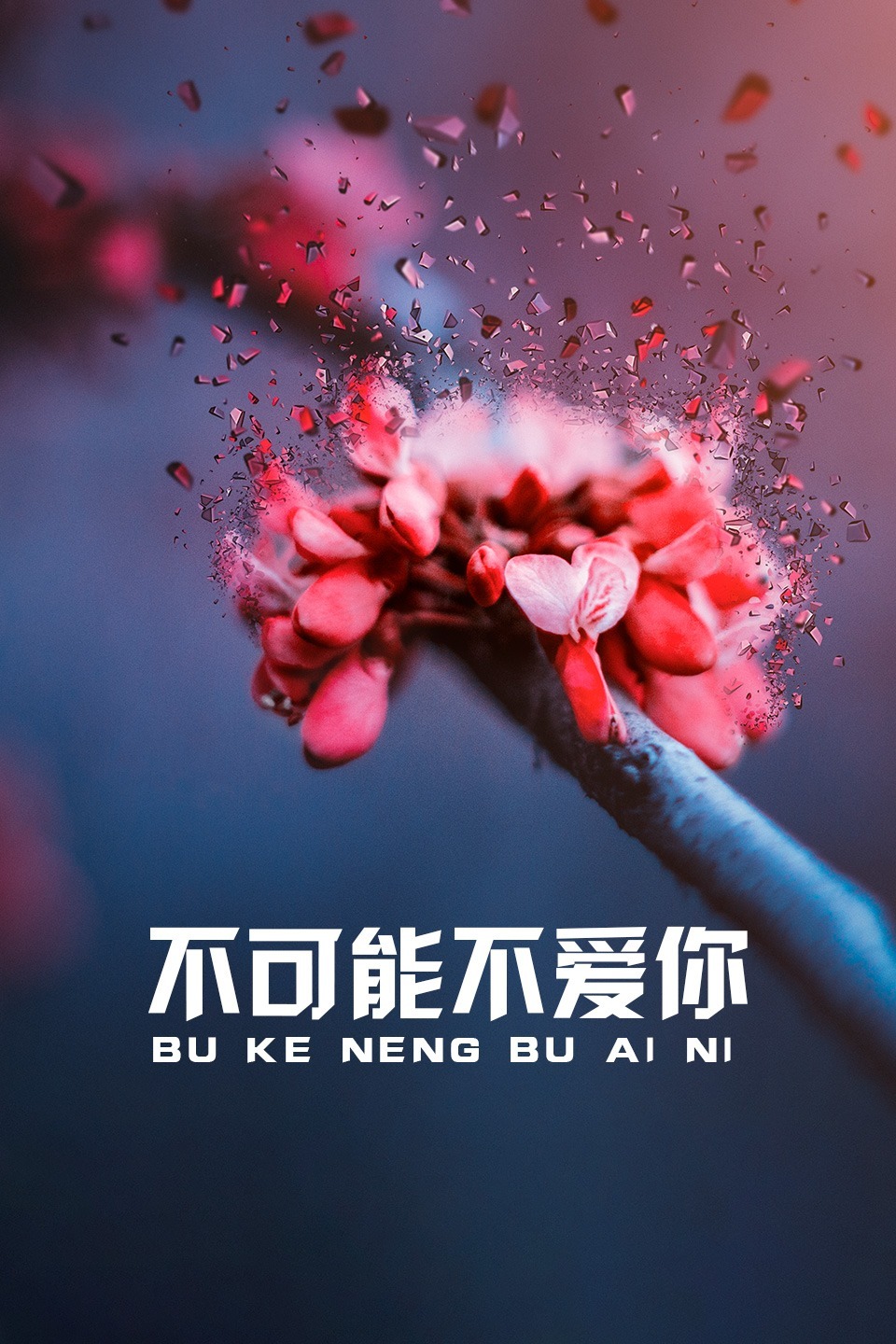 不可能不爱你