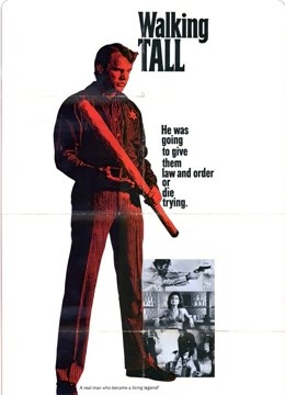 威震八方(1973)