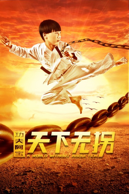 功夫阿宝:天下无拐